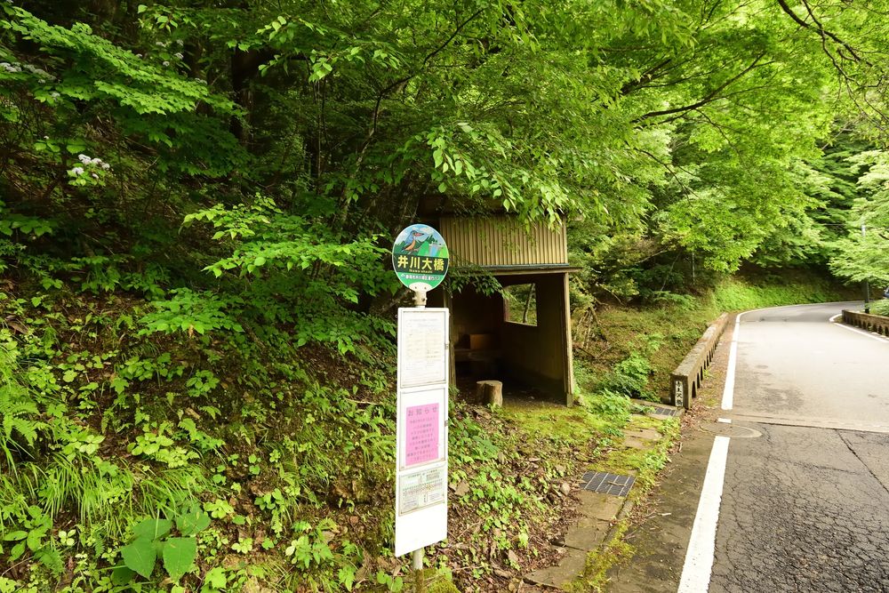 井川大橋の画像 - 4枚目