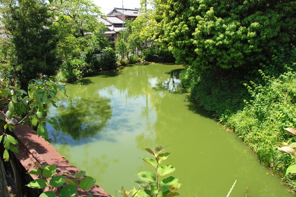 横須賀城跡の画像 - 2枚目