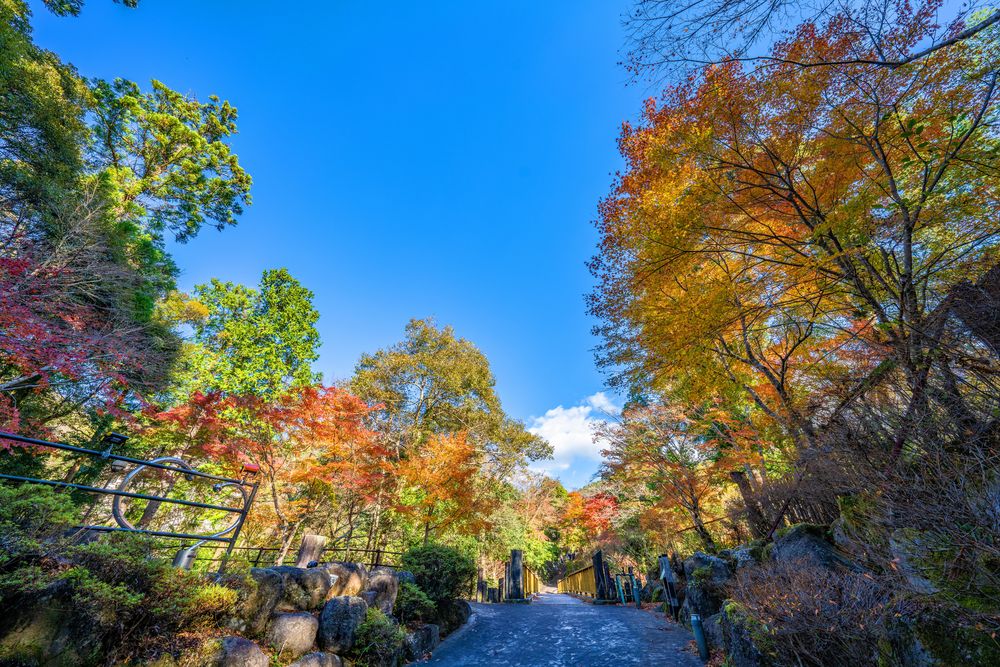 出会い橋の画像 - 3枚目