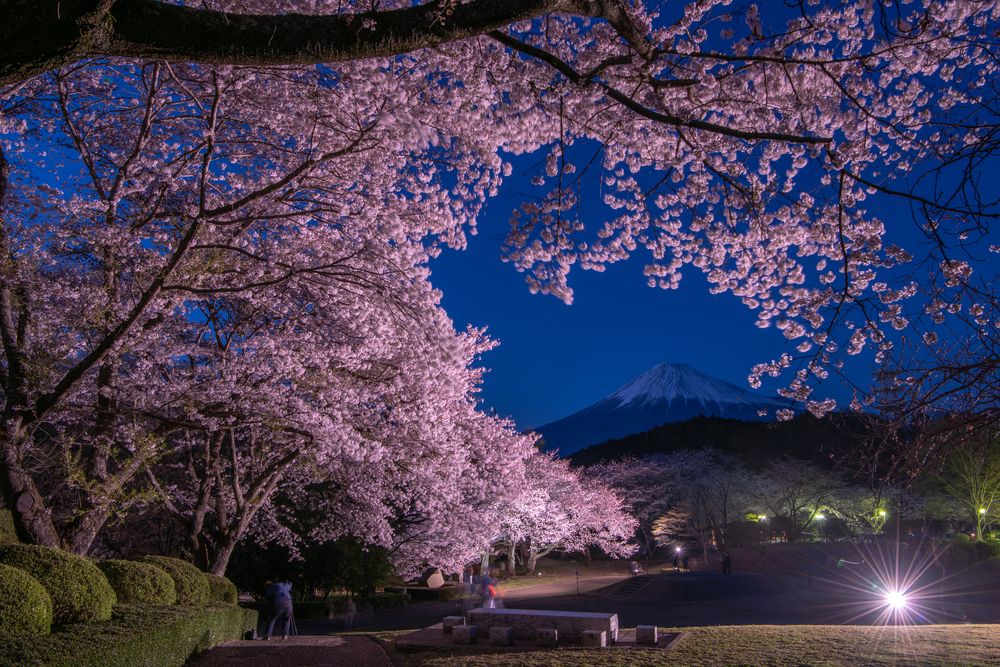 岩本山公園の画像 - 3枚目
