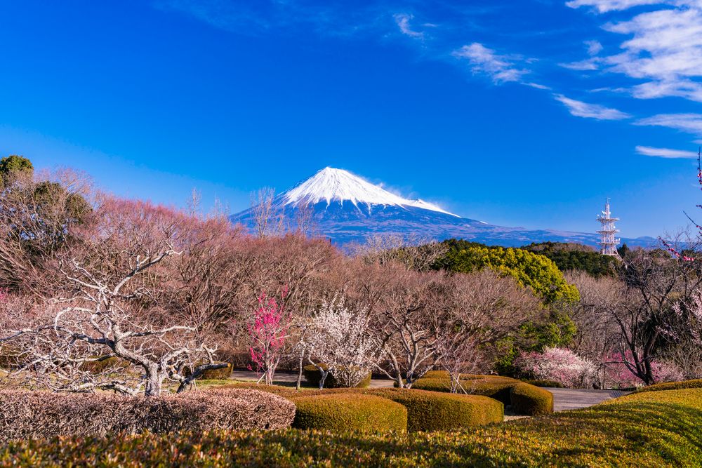 岩本山公園の画像 - 4枚目