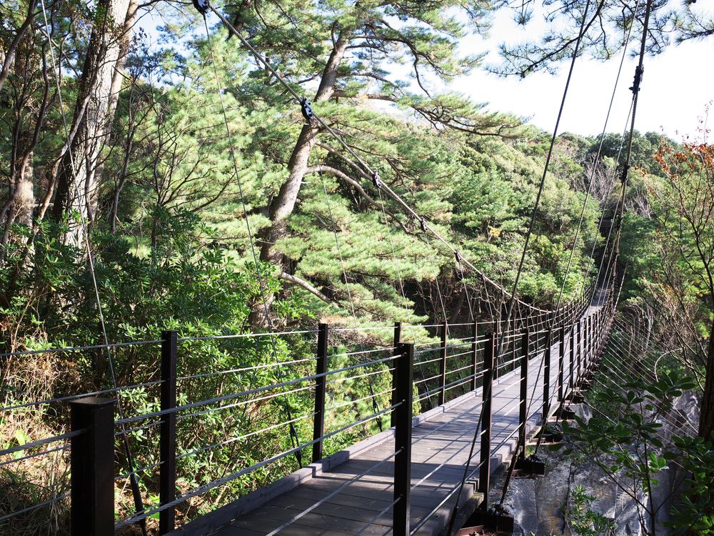 橋立吊橋の画像 - 3枚目