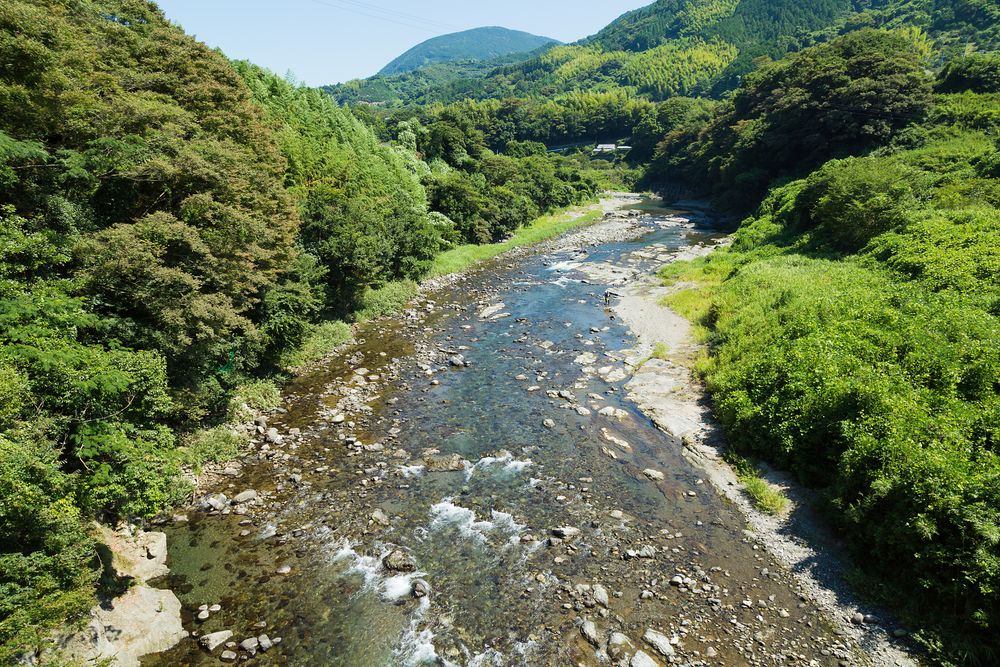 興津川の画像 - 2枚目