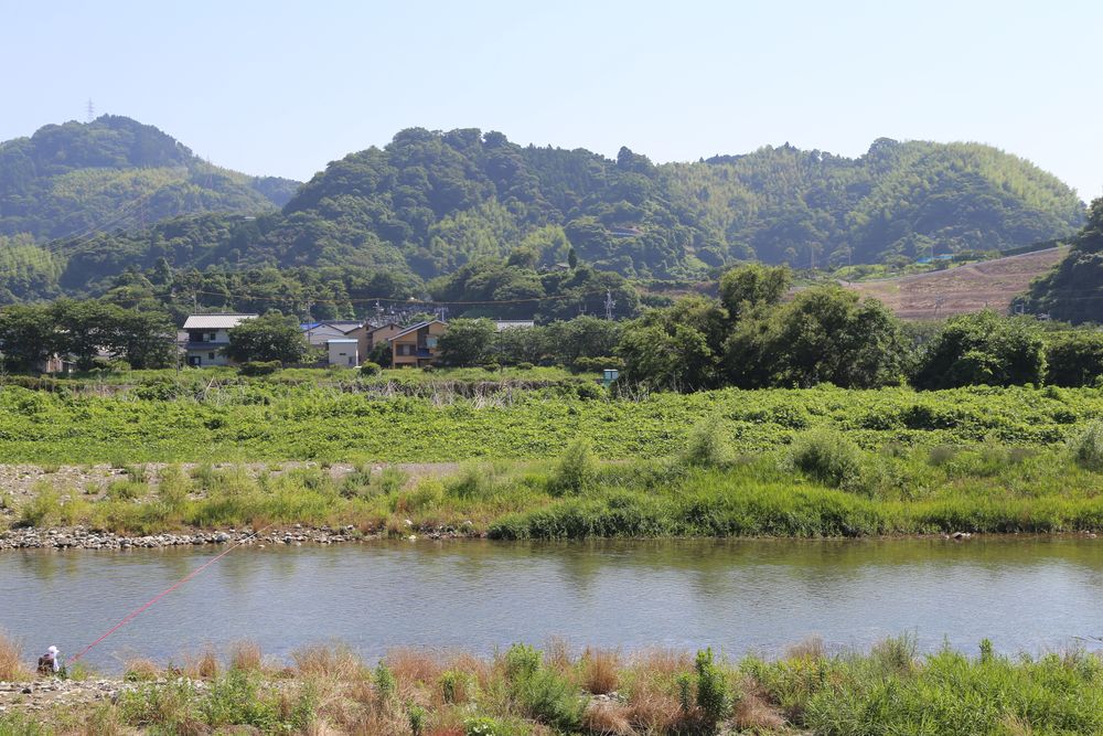 興津川の画像 - 4枚目