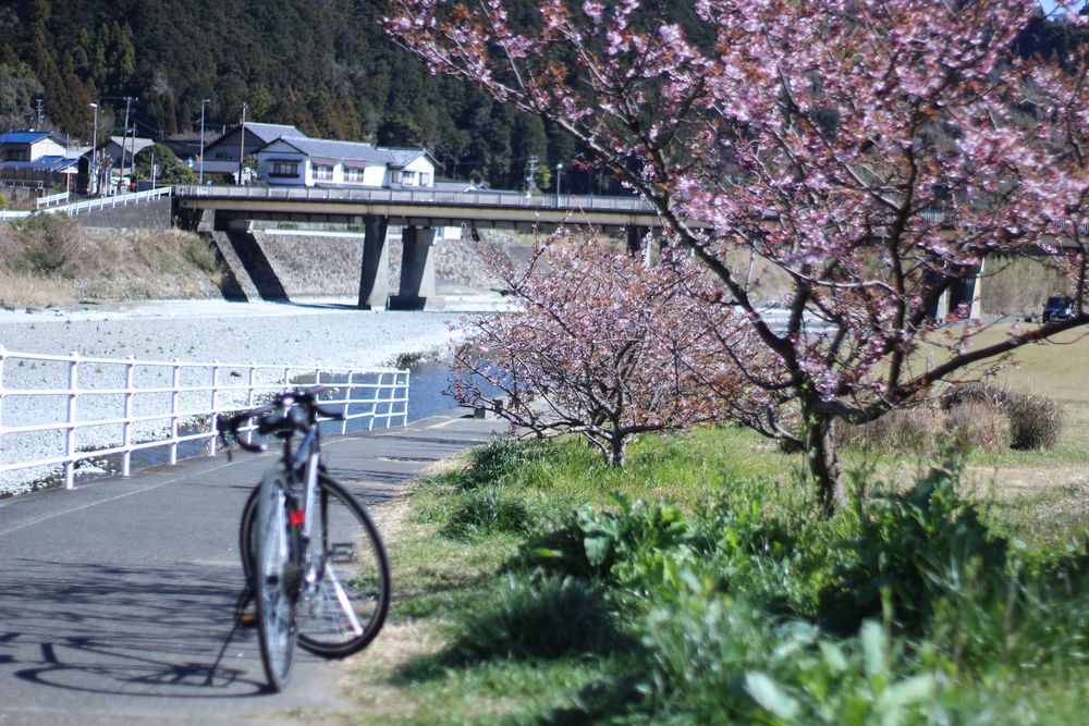 興津川の画像 - 5枚目