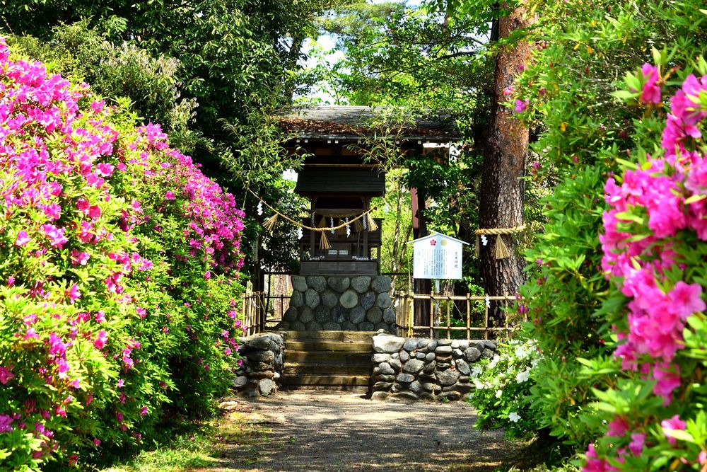 見付天神 矢奈比賣神社の画像 - 5枚目