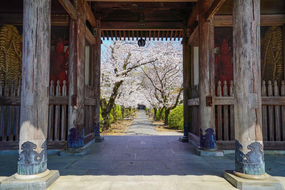 光長寺の画像 - 4枚目