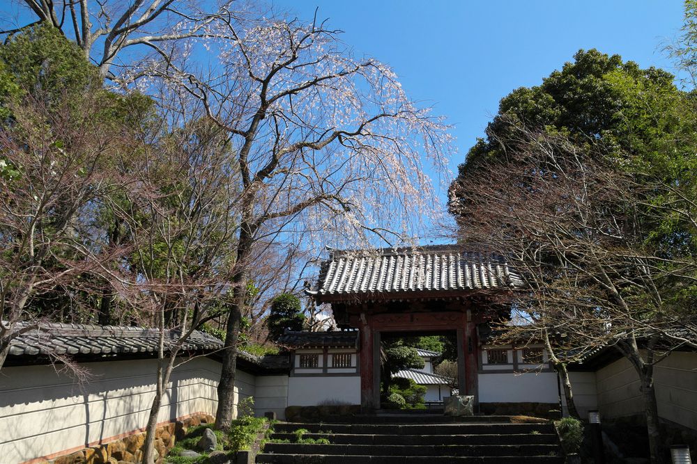 光長寺の画像 - 5枚目