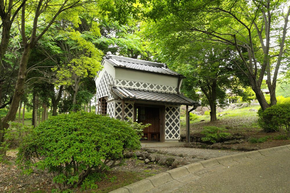 広見公園の画像 - 4枚目