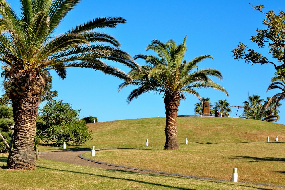 広野海岸公園の画像 - 3枚目