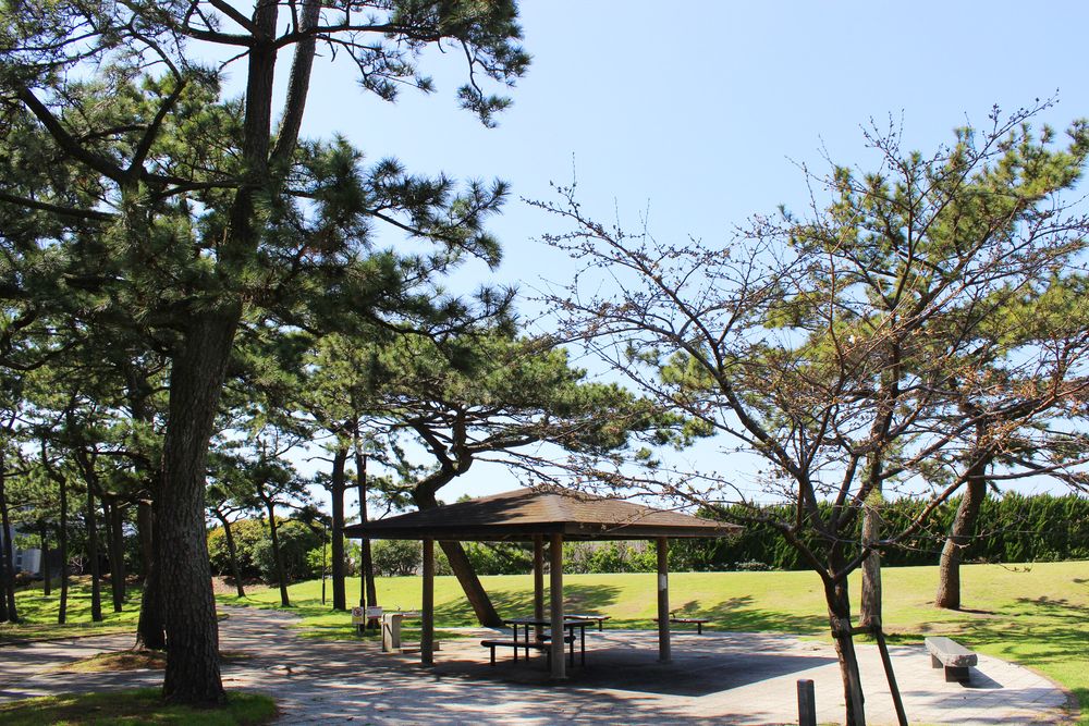 港口公園の画像 - 2枚目