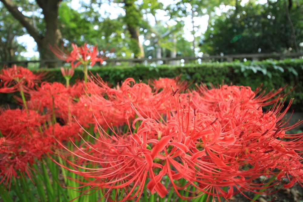 港口公園の画像 - 3枚目