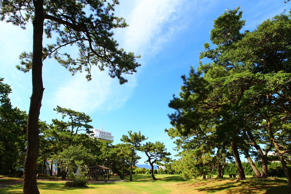 港口公園の画像 - 5枚目