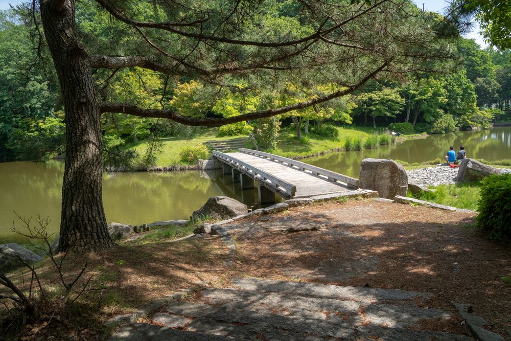 佐鳴湖公園の画像 - 3枚目