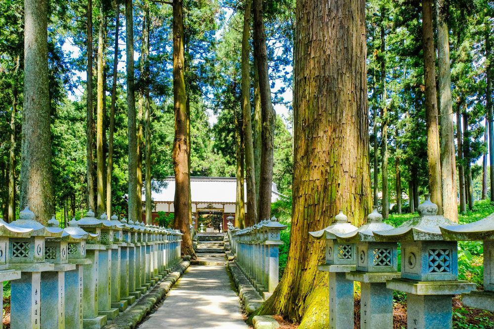 山宮浅間神社の画像 - 3枚目