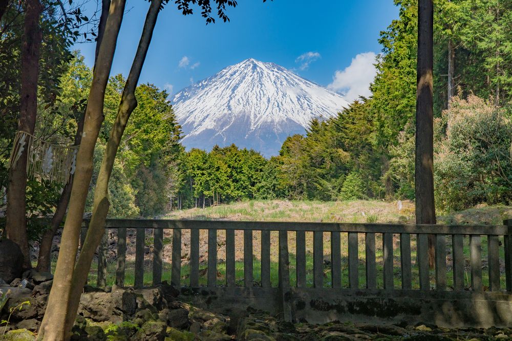 山宮浅間神社の画像 - 5枚目