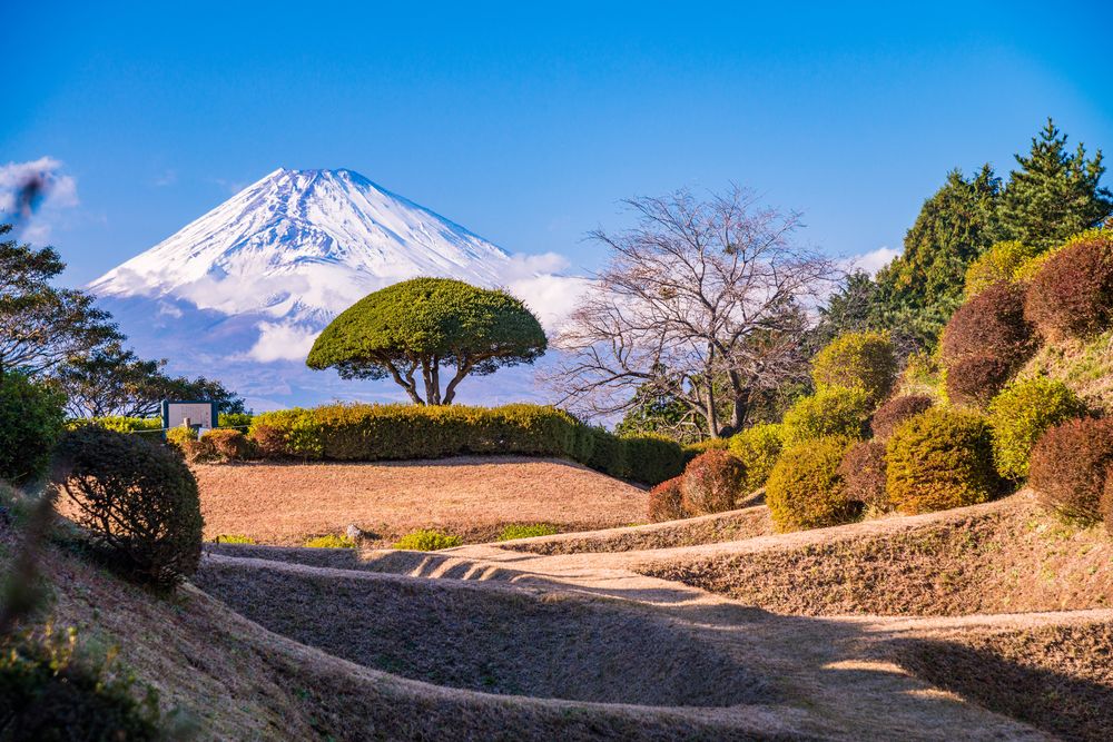 山中城跡の画像 - 3枚目