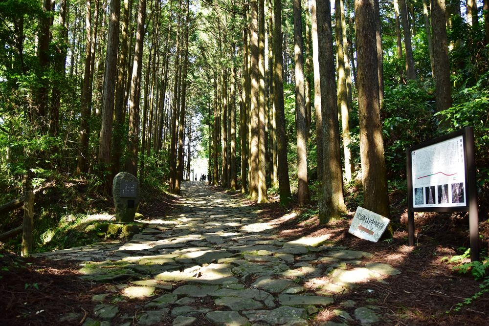山中城跡の画像 - 4枚目