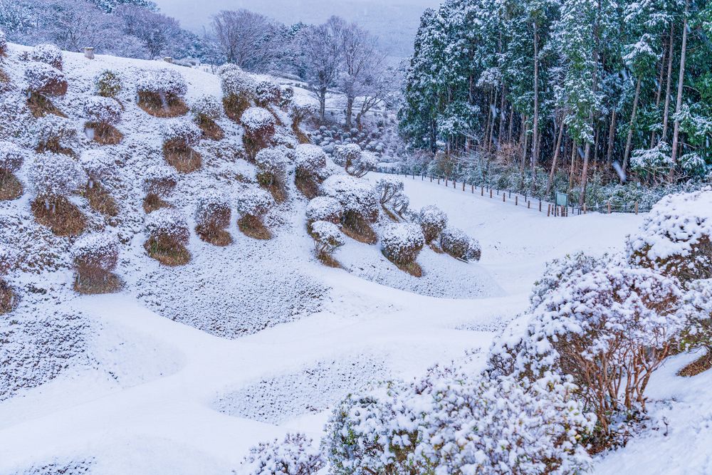 山中城跡の画像 - 5枚目