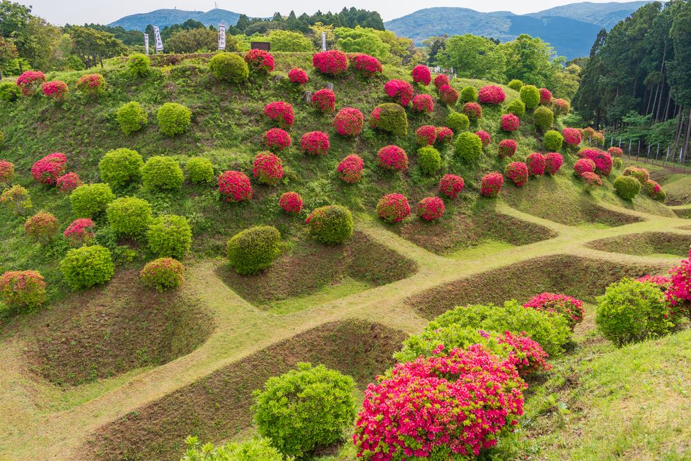 山中城跡の画像 - 6枚目