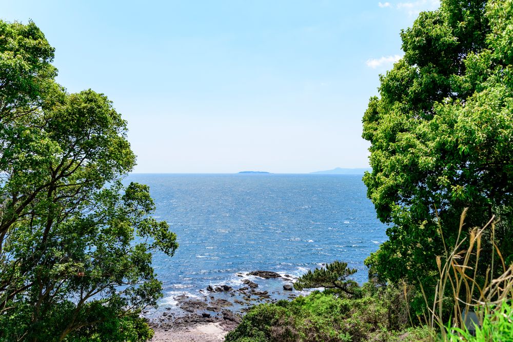 初島の画像 - 4枚目