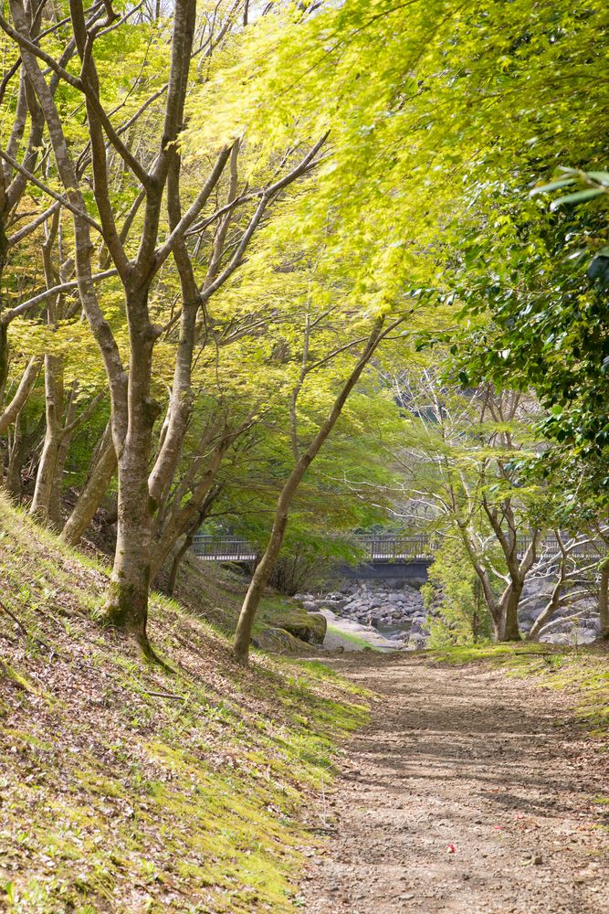 水と緑の杜公園の画像 - 2枚目
