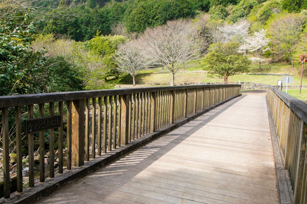 水と緑の杜公園の画像 - 3枚目
