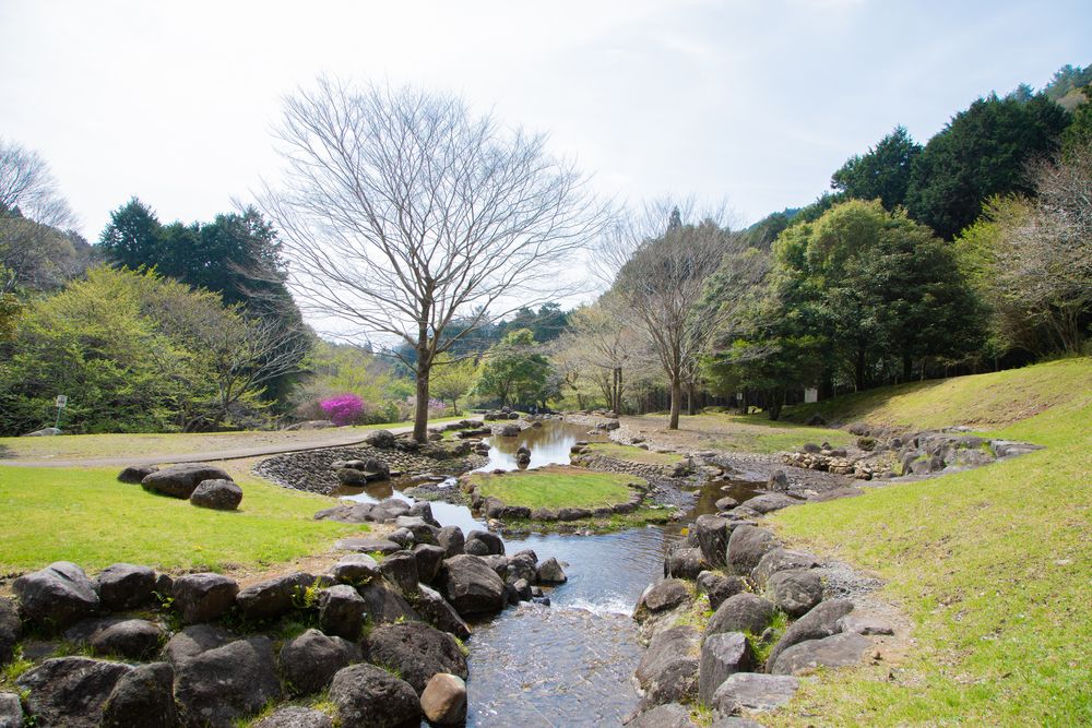 水と緑の杜公園の画像 - 5枚目