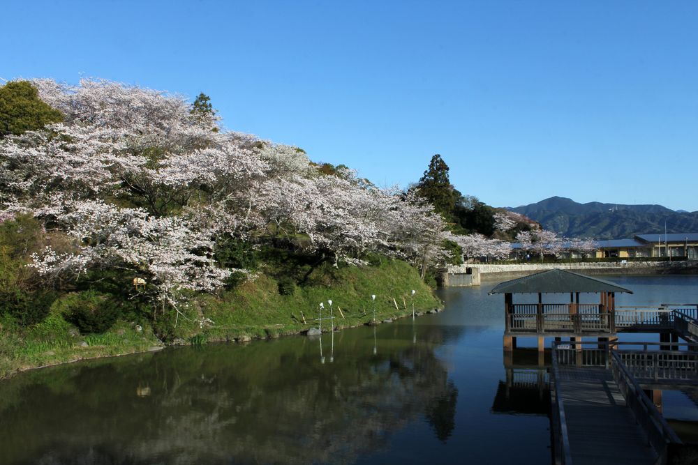清水船越堤公園の画像 - 2枚目