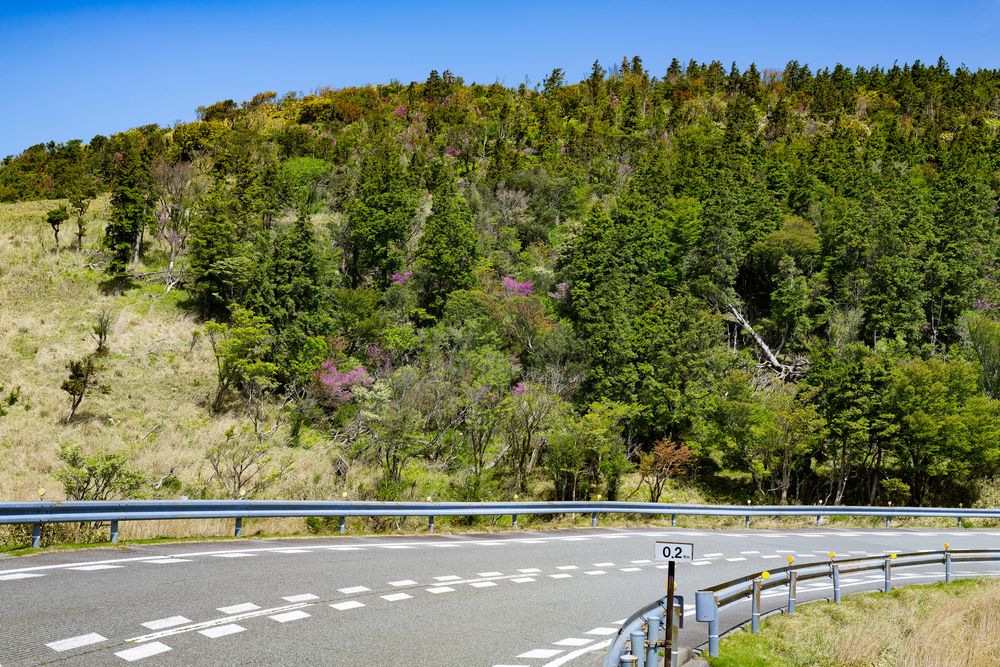 西天城高原の画像 - 3枚目