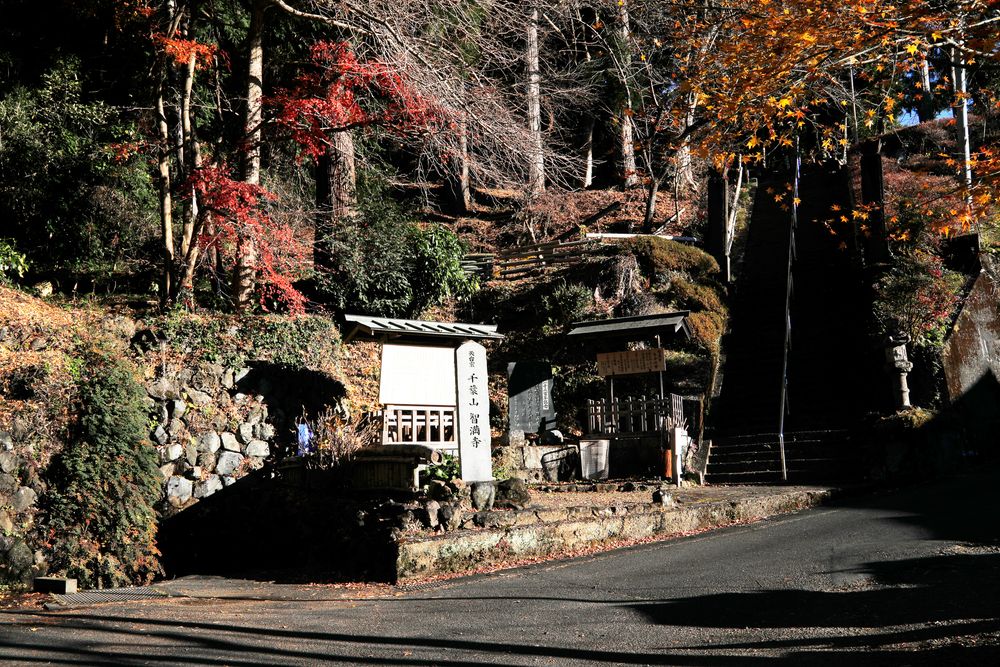 千葉山の画像 - 4枚目