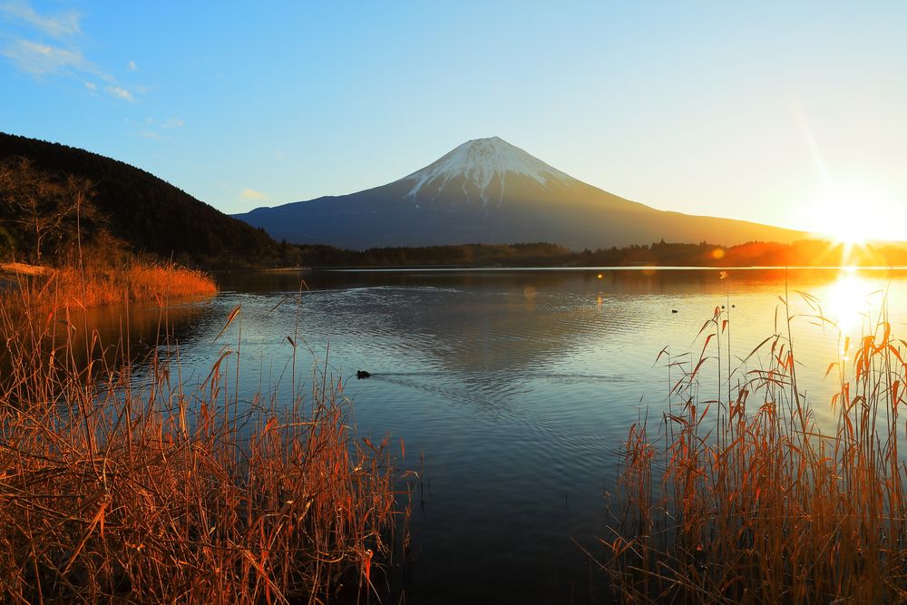 田貫湖の画像 - 3枚目