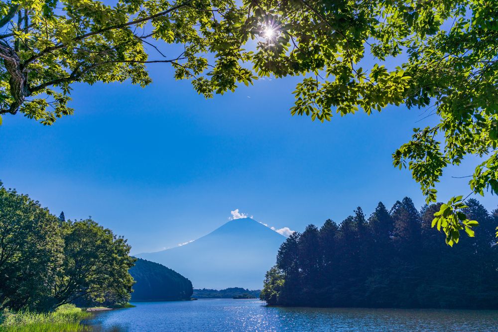田貫湖の画像 - 5枚目