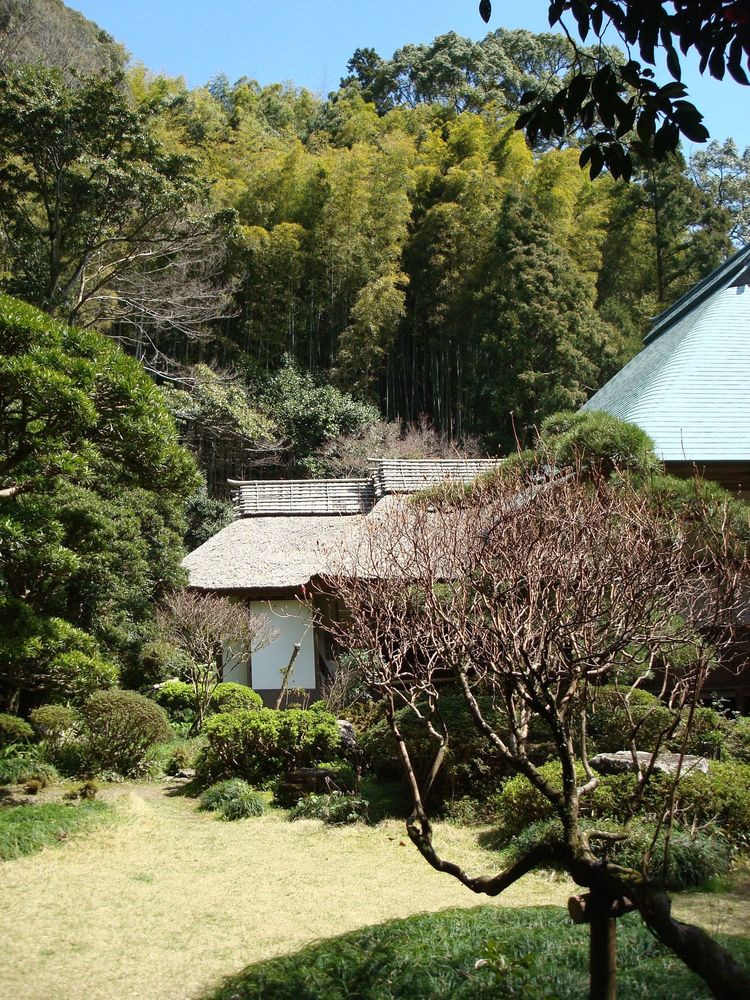 柴屋寺の画像 - 5枚目