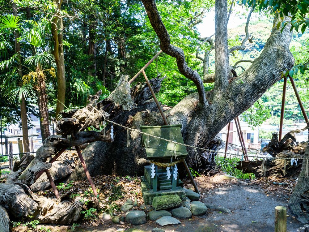 草薙神社の画像 - 2枚目