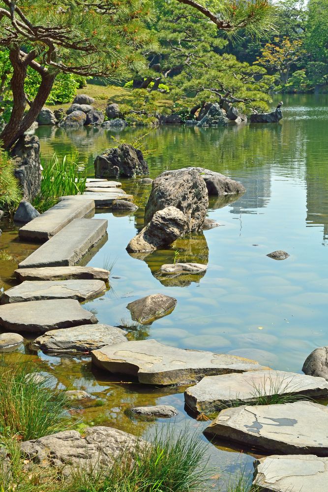 清澄庭園の画像 - 3枚目