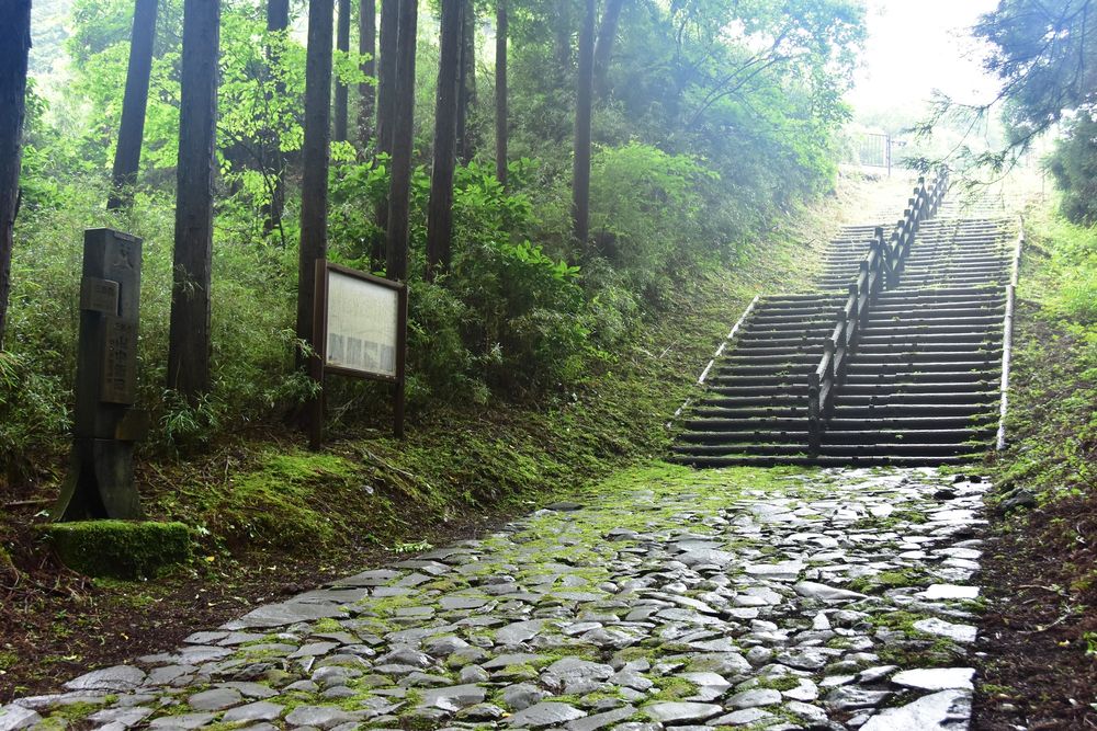 猿沢の石畳道の画像 - 4枚目