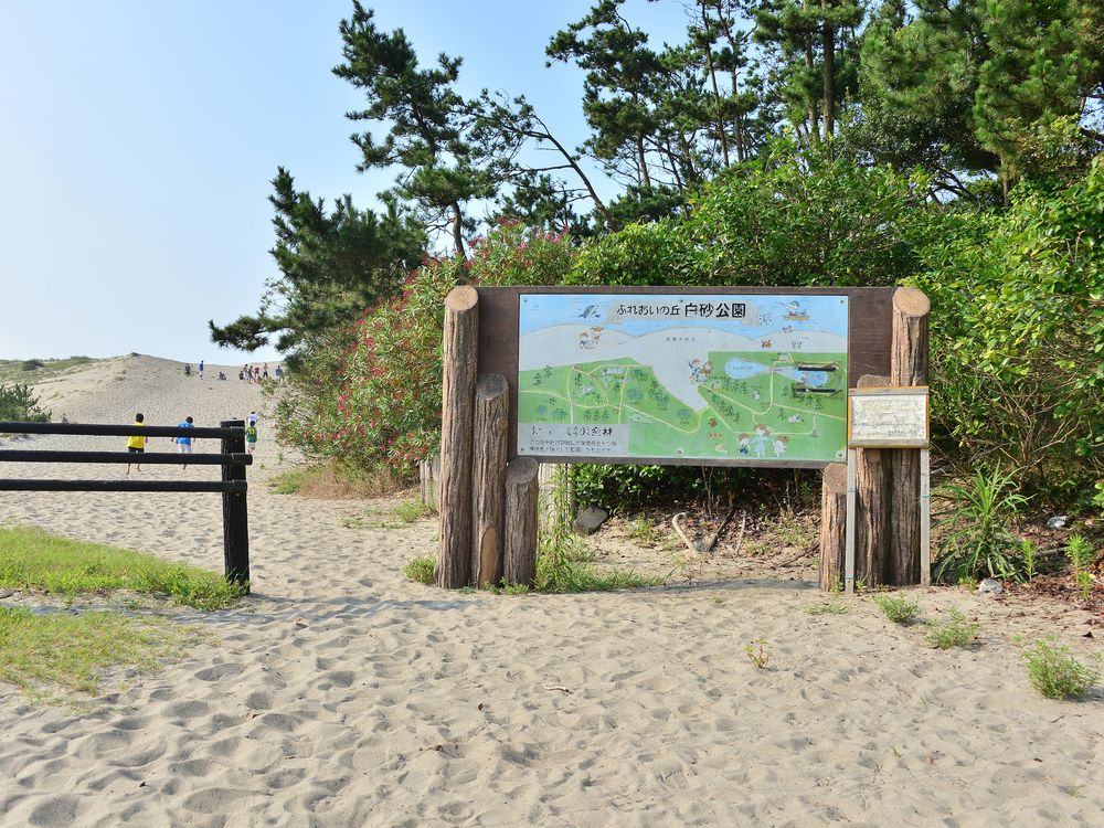 浜岡砂丘の画像 - 3枚目