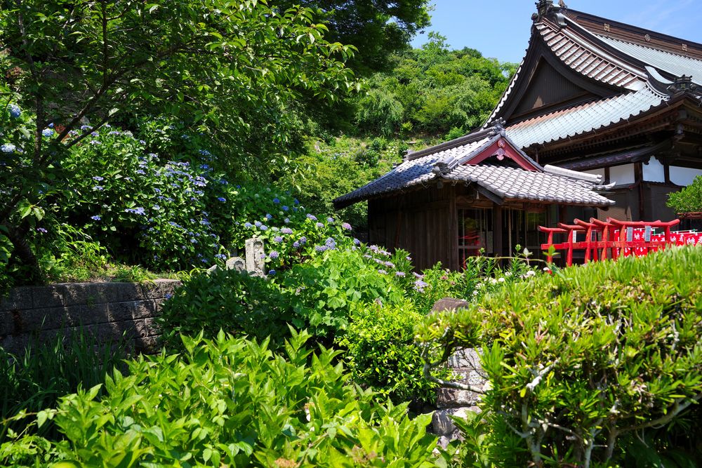 本勝寺の画像 - 2枚目
