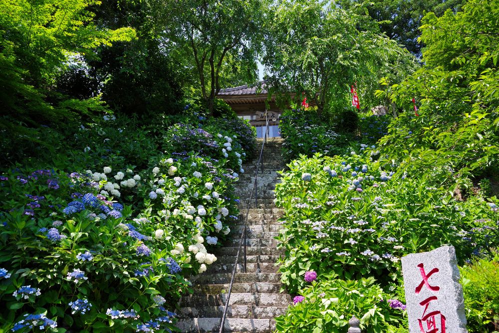 本勝寺の画像 - 3枚目