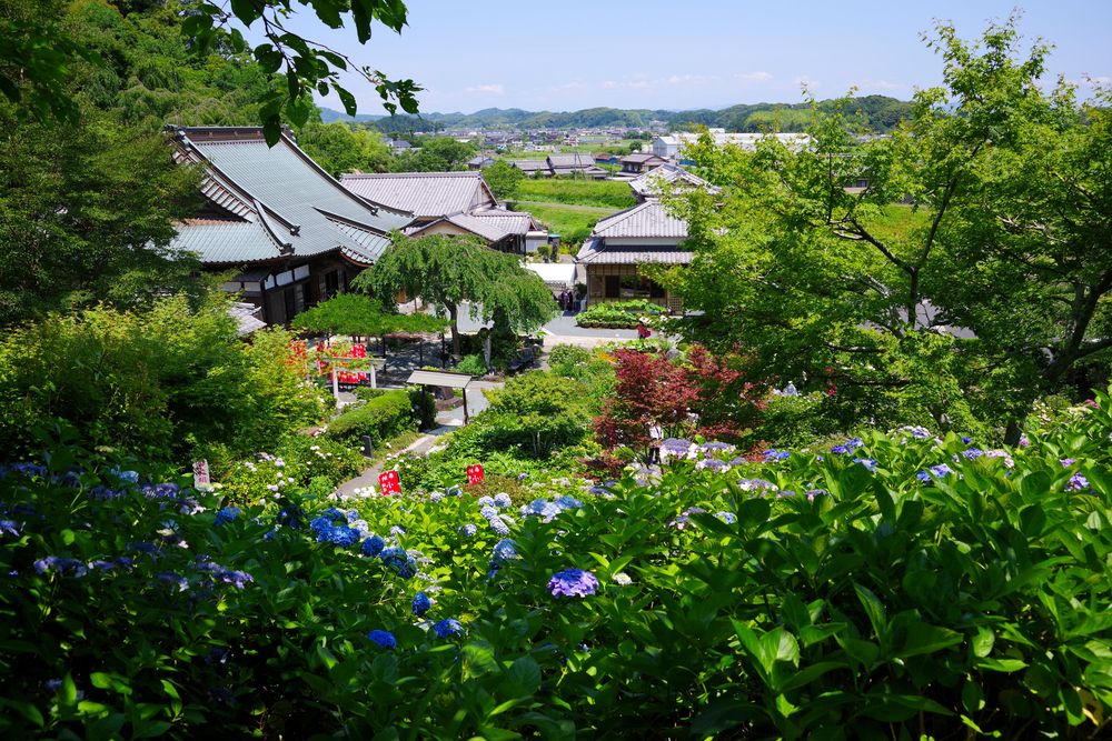 本勝寺の画像 - 4枚目