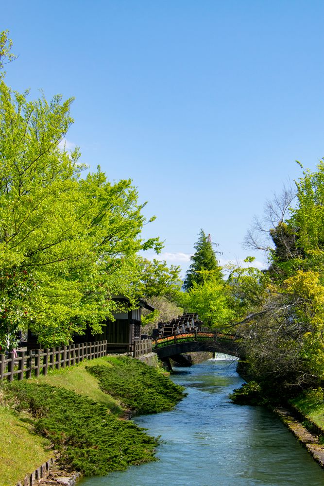 砺波チューリップ公園の画像 - 3枚目