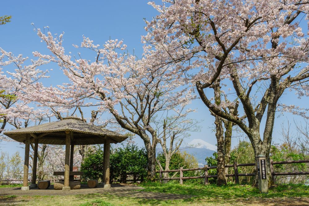 本城山公園の画像 - 3枚目