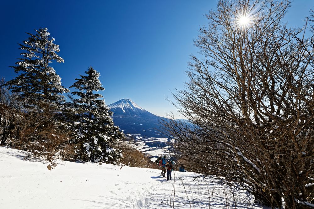 毛無山の画像 - 3枚目