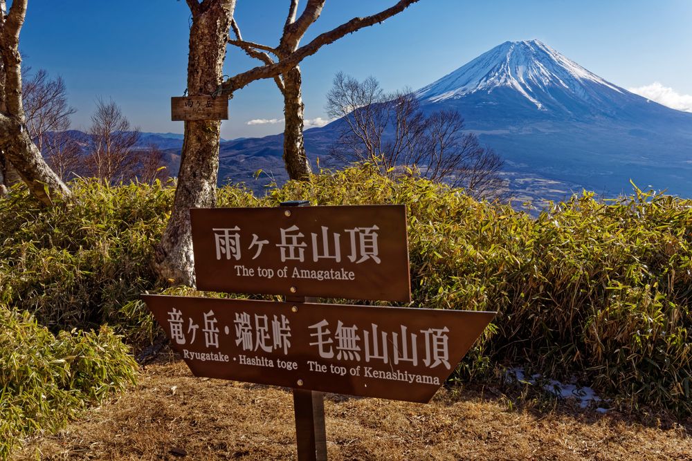 毛無山の画像 - 5枚目