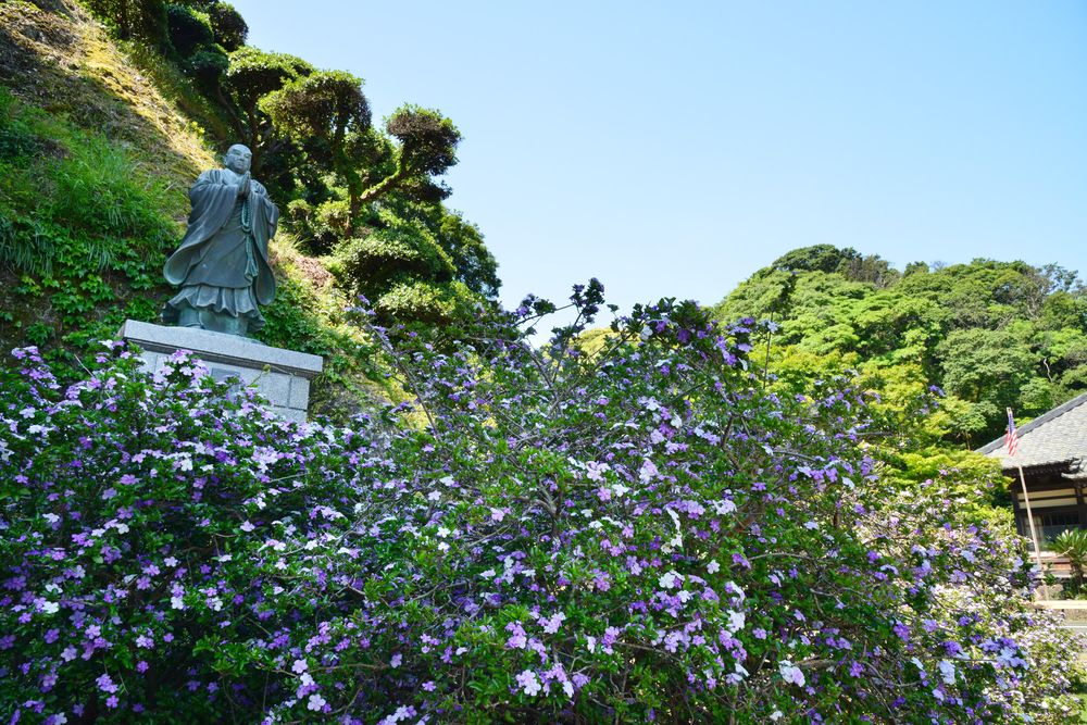 了仙寺の画像 - 2枚目