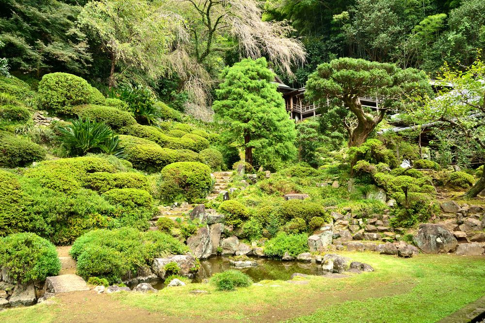 臨濟寺の画像 - 2枚目