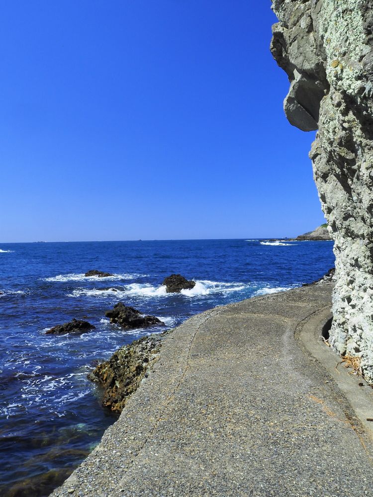 和歌の浦遊歩道