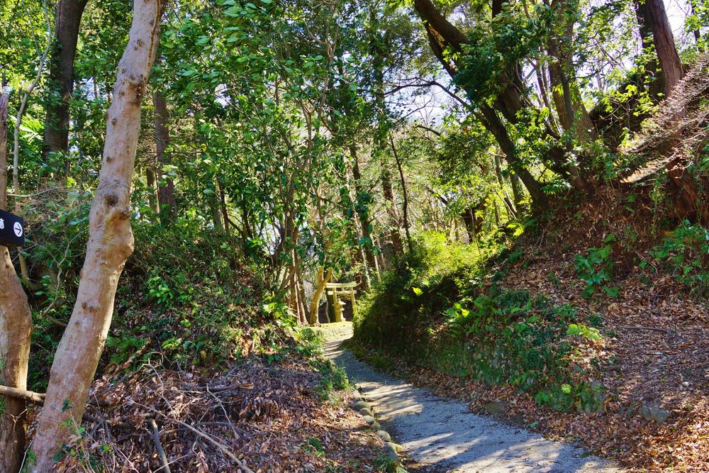 韮山城跡の画像 - 2枚目