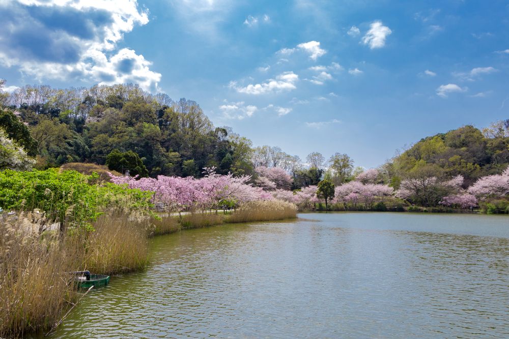 韮山城跡の画像 - 5枚目
